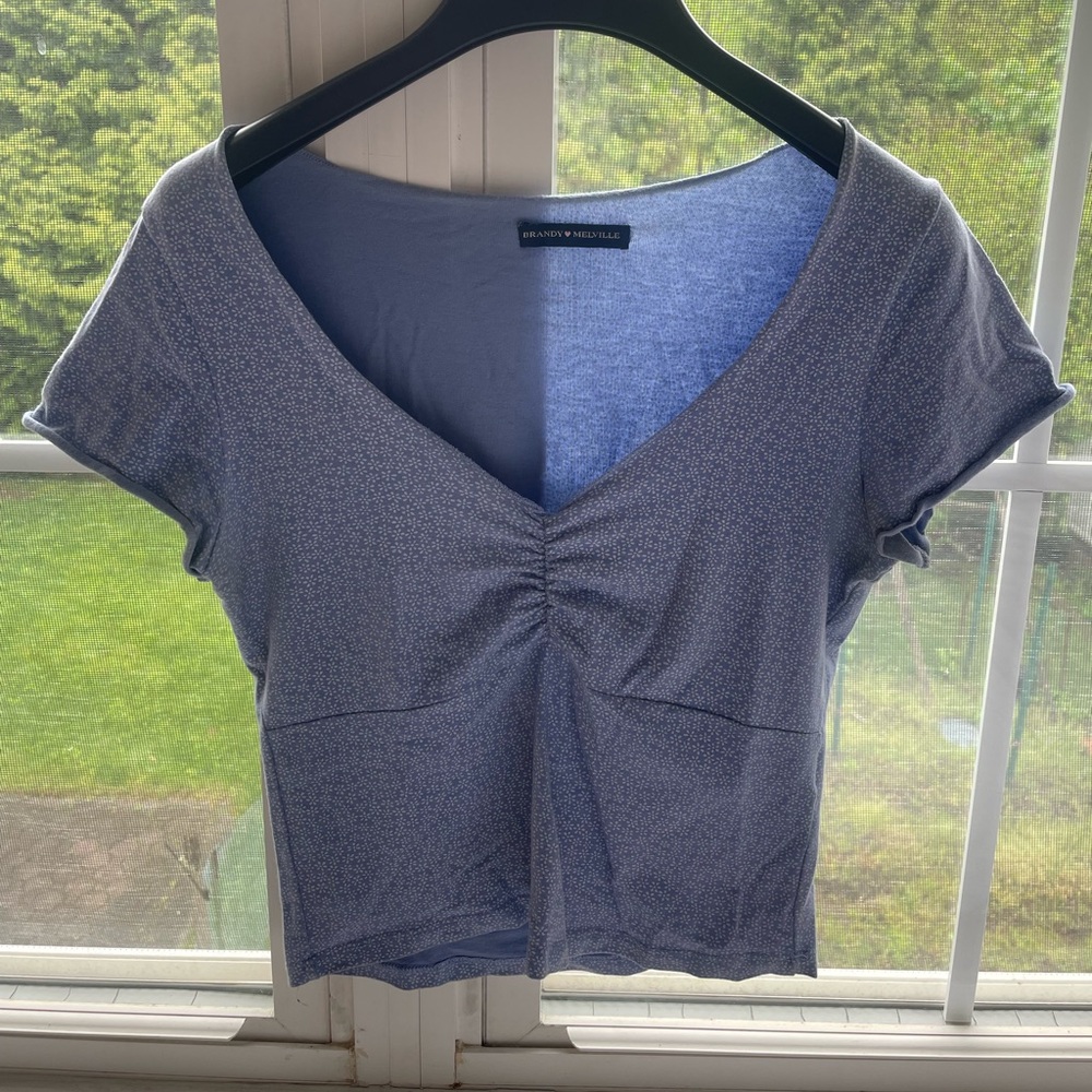 Brandy Melville Blue Floral Gina Crop Top